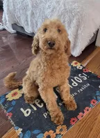 Photo of Ellie