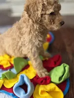 processed/bab30f6f-8b1e-416e-a1c0-dfe798639b77/listing/a2b63757-4e22-400e-b3fa-8900b08e0a89/50a226f1-2677-4570-8362-99c84bd85756