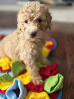 processed/bab30f6f-8b1e-416e-a1c0-dfe798639b77/listing/a2b63757-4e22-400e-b3fa-8900b08e0a89/61d38ee9-822f-4ccd-a994-78026e284d4f