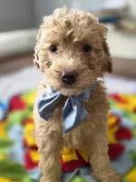 processed/bab30f6f-8b1e-416e-a1c0-dfe798639b77/listing/a2b63757-4e22-400e-b3fa-8900b08e0a89/920ef72b-08f1-4864-9b62-bca53d4a005d