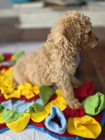 processed/bab30f6f-8b1e-416e-a1c0-dfe798639b77/listing/a2b63757-4e22-400e-b3fa-8900b08e0a89/f5b194d2-2a4f-4a66-b7d2-aab73f0af37a