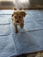 processed/bab30f6f-8b1e-416e-a1c0-dfe798639b77/listing/b86dee61-d0ab-4ad8-bb23-893fa300a3f7/07250b11-cdb5-4828-8ffd-c1a3f8efe4ae