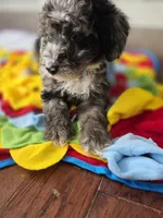 processed/bab30f6f-8b1e-416e-a1c0-dfe798639b77/listing/dc20e1be-e832-4ce2-9611-97c4f430218b/3b2423fe-85c8-482c-bd20-1bb1e4995196