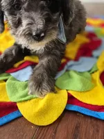 processed/bab30f6f-8b1e-416e-a1c0-dfe798639b77/listing/dc20e1be-e832-4ce2-9611-97c4f430218b/c0f1345d-4136-4e5a-8a70-60cb673c64da