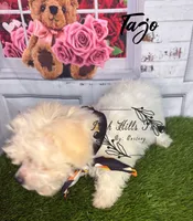 Tajo, a female Maltese and Shih Tzu for sale in Dover, FL – 7 of 7