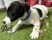 processed/bab5cb7b-8ce5-4e9d-86e8-15183326403e/listing/1f04730e-db7d-4973-860a-d52f0b469aed/13cc6468-0af0-4656-9538-456b9ab76daa