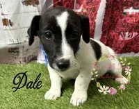 processed/bab5cb7b-8ce5-4e9d-86e8-15183326403e/listing/1f04730e-db7d-4973-860a-d52f0b469aed/481e8de3-a6d4-4bab-b1c2-b0df5c73557e