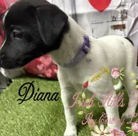 processed/bab5cb7b-8ce5-4e9d-86e8-15183326403e/listing/35e66bb0-0a13-4395-96b2-6788b2bee66c/0a628d44-65ba-44ba-8f80-1f81823470b3