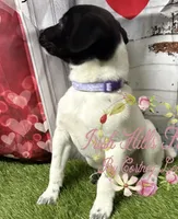 processed/bab5cb7b-8ce5-4e9d-86e8-15183326403e/listing/35e66bb0-0a13-4395-96b2-6788b2bee66c/53d35211-14e2-4af7-ab03-1953eb1eef7e