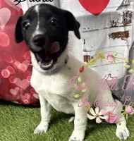 processed/bab5cb7b-8ce5-4e9d-86e8-15183326403e/listing/35e66bb0-0a13-4395-96b2-6788b2bee66c/60b72eaa-5a87-470b-a8b3-76fa5b085be1