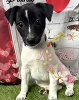 processed/bab5cb7b-8ce5-4e9d-86e8-15183326403e/listing/35e66bb0-0a13-4395-96b2-6788b2bee66c/c18bf0ca-5f67-4e8d-9315-d96f9e0b423c