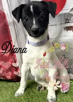 processed/bab5cb7b-8ce5-4e9d-86e8-15183326403e/listing/35e66bb0-0a13-4395-96b2-6788b2bee66c/c6f95b57-c340-414a-ba9b-33371a6e1539