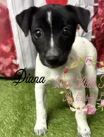 processed/bab5cb7b-8ce5-4e9d-86e8-15183326403e/listing/35e66bb0-0a13-4395-96b2-6788b2bee66c/cb16392e-697a-41d0-b7a3-c70074339654