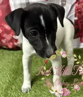 processed/bab5cb7b-8ce5-4e9d-86e8-15183326403e/listing/35e66bb0-0a13-4395-96b2-6788b2bee66c/eae8584c-f103-4502-9278-5c894ef3b5de