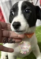 processed/bab5cb7b-8ce5-4e9d-86e8-15183326403e/listing/41941d04-e546-499e-a659-b3e9682755b8/910e7dc4-788d-42a7-a686-f69a9dadaf8a