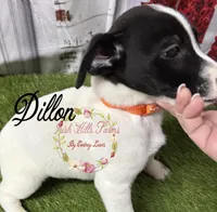 processed/bab5cb7b-8ce5-4e9d-86e8-15183326403e/listing/41941d04-e546-499e-a659-b3e9682755b8/a0580a3e-21d5-4392-a6c6-a969bbbc683b