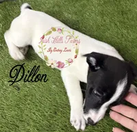 processed/bab5cb7b-8ce5-4e9d-86e8-15183326403e/listing/41941d04-e546-499e-a659-b3e9682755b8/a9128d93-07e5-4bbb-a928-be348a1f11b0