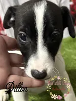 processed/bab5cb7b-8ce5-4e9d-86e8-15183326403e/listing/41941d04-e546-499e-a659-b3e9682755b8/f19f18e3-5c8e-4c1d-ae89-4fc8b7ba7462