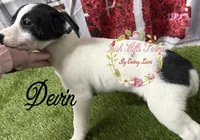 processed/bab5cb7b-8ce5-4e9d-86e8-15183326403e/listing/93941a23-165e-4155-bd15-1e6420a0862b/0360ffb3-6f21-4f82-8fb1-f2f9c6997fbd