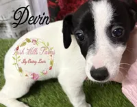 processed/bab5cb7b-8ce5-4e9d-86e8-15183326403e/listing/93941a23-165e-4155-bd15-1e6420a0862b/a3fd1923-e553-4973-87e0-ae69910fd58b