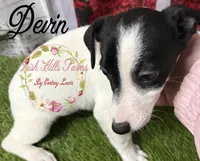 processed/bab5cb7b-8ce5-4e9d-86e8-15183326403e/listing/93941a23-165e-4155-bd15-1e6420a0862b/ae549c8f-9d66-400b-845d-7538c8ef0203