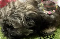 processed/bab5cb7b-8ce5-4e9d-86e8-15183326403e/listing/dbed90c6-e6da-4431-bda2-493cca436b8a/c3532c7d-1aa5-4a1a-9c59-c1861e5f0a72