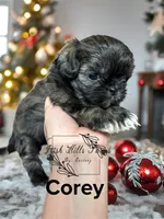 processed/bab5cb7b-8ce5-4e9d-86e8-15183326403e/listing/df0aedab-0040-4f2e-bba8-ee633cdec717/8262d6ac-0e54-447f-a722-557a235268c1