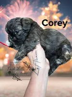 processed/bab5cb7b-8ce5-4e9d-86e8-15183326403e/listing/df0aedab-0040-4f2e-bba8-ee633cdec717/cfd9a45c-e10f-48b2-986a-3c4893eba331