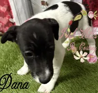 processed/bab5cb7b-8ce5-4e9d-86e8-15183326403e/listing/e244bc95-09ef-4eb5-9ec5-6515a06c0d57/1862f4f5-4dd8-4a92-ab14-97d6ec7df0cd