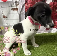 processed/bab5cb7b-8ce5-4e9d-86e8-15183326403e/listing/e244bc95-09ef-4eb5-9ec5-6515a06c0d57/1f4307a0-a065-488e-94a1-4d6d24263a5e