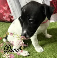 processed/bab5cb7b-8ce5-4e9d-86e8-15183326403e/listing/e244bc95-09ef-4eb5-9ec5-6515a06c0d57/34dd98f5-f31e-46f1-acdb-bc1d29bea15a