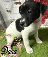 processed/bab5cb7b-8ce5-4e9d-86e8-15183326403e/listing/e244bc95-09ef-4eb5-9ec5-6515a06c0d57/3cf12e48-bf43-45ab-baea-2a1b0557752f