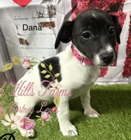 processed/bab5cb7b-8ce5-4e9d-86e8-15183326403e/listing/e244bc95-09ef-4eb5-9ec5-6515a06c0d57/3dd03bdf-53bd-4cfe-aebd-99d9c462ac79