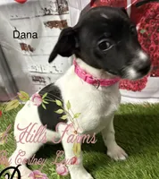 processed/bab5cb7b-8ce5-4e9d-86e8-15183326403e/listing/e244bc95-09ef-4eb5-9ec5-6515a06c0d57/48b7ce09-4dc5-41f9-864f-fcf1a0823b72