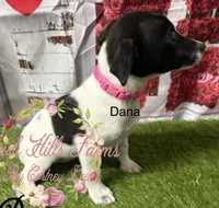 processed/bab5cb7b-8ce5-4e9d-86e8-15183326403e/listing/e244bc95-09ef-4eb5-9ec5-6515a06c0d57/532127d1-4236-404a-86ee-61b428489037