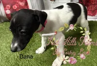 processed/bab5cb7b-8ce5-4e9d-86e8-15183326403e/listing/e244bc95-09ef-4eb5-9ec5-6515a06c0d57/7b87acda-59e0-4f68-8544-262a25dfdf6a