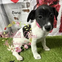 processed/bab5cb7b-8ce5-4e9d-86e8-15183326403e/listing/e244bc95-09ef-4eb5-9ec5-6515a06c0d57/8b5a3b87-ab3f-4e8a-a84c-e768c1feaaad