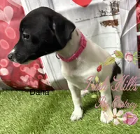 processed/bab5cb7b-8ce5-4e9d-86e8-15183326403e/listing/e244bc95-09ef-4eb5-9ec5-6515a06c0d57/d8b8161f-8cf3-42dd-a8b3-98defb17c7cb