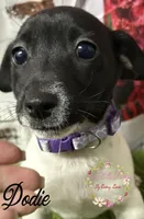 processed/bab5cb7b-8ce5-4e9d-86e8-15183326403e/listing/fe3d6dd5-35e9-4e17-a27b-d4ba24ddc99d/34cc2100-0a8b-4cdb-945d-7b8ee56e305a