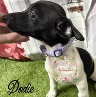 processed/bab5cb7b-8ce5-4e9d-86e8-15183326403e/listing/fe3d6dd5-35e9-4e17-a27b-d4ba24ddc99d/71be90eb-522e-4c79-a63a-2447f526484f