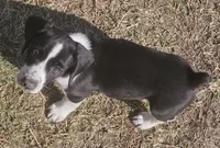 processed/baba3823-9379-4ffc-b6c5-d6657e8bad3c/listing/91511bbb-9a3d-462d-8af5-4184a485d036/18d65ea4-da7e-4121-b598-34f3a5433a39