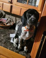 processed/baba3823-9379-4ffc-b6c5-d6657e8bad3c/listing/91511bbb-9a3d-462d-8af5-4184a485d036/75b3b4a4-ea35-45d3-b88b-4ead7ec24870