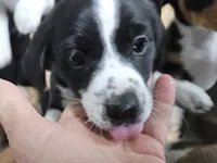 processed/baba3823-9379-4ffc-b6c5-d6657e8bad3c/listing/91511bbb-9a3d-462d-8af5-4184a485d036/b3b83f52-54e4-41bf-b2a7-c4c0ecc61388