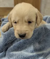 processed/babde65a-6a19-447c-b083-7c06ea514063/listing/5f90ac03-7007-4d84-a92e-754c0631c642/4ebe14b3-fe30-45c2-be99-2f7e4ff2e049