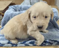 processed/babde65a-6a19-447c-b083-7c06ea514063/listing/5f90ac03-7007-4d84-a92e-754c0631c642/d2c34325-547a-4417-adeb-c997b3e69ab7