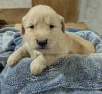 processed/babde65a-6a19-447c-b083-7c06ea514063/listing/6d61e37b-645e-4e23-8a5b-d4841e6adeb8/de426f63-19c1-4d58-8f6f-24bcfe6f68cf