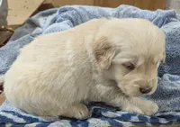 processed/babde65a-6a19-447c-b083-7c06ea514063/listing/b4c42ac2-c94b-425f-8935-3e69bea7603c/89b32a43-149f-4f0d-863a-2bbf152150de