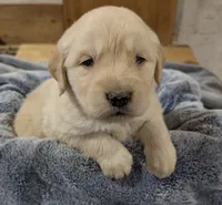 processed/babde65a-6a19-447c-b083-7c06ea514063/listing/b4c42ac2-c94b-425f-8935-3e69bea7603c/95f3651b-5d28-4122-a01d-867e3a6f60e2