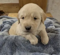 processed/babde65a-6a19-447c-b083-7c06ea514063/listing/b4c42ac2-c94b-425f-8935-3e69bea7603c/b579575c-bdbd-4ef6-a591-d0fdff8c915f