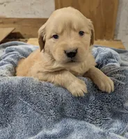 processed/babde65a-6a19-447c-b083-7c06ea514063/listing/cc73d571-1c11-41c6-a81b-1fada71e681a/7e33ffe2-8dcc-42c9-887a-15a0537758be